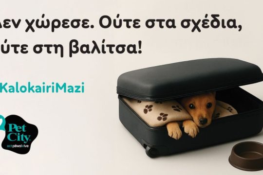 Pet_City_Kalokairi_Mazi
